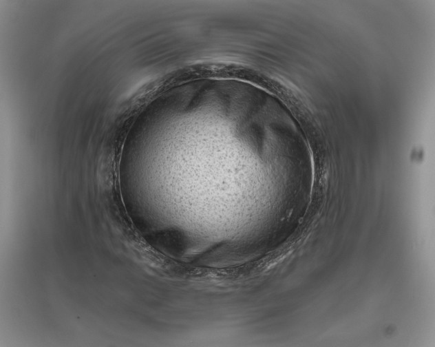 X0000096411014200802071650