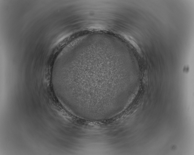 X0000096411015200802071650