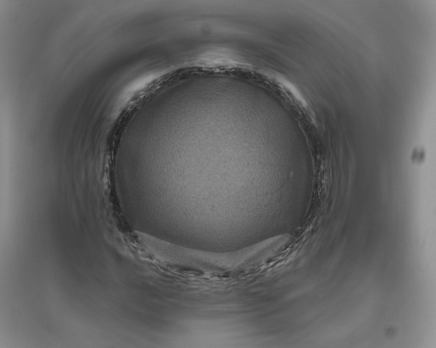 X0000096411016200802071650