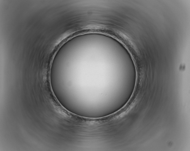X0000096411017200802071650