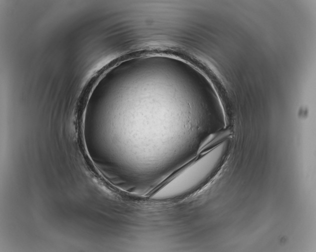 X0000096411018200802071650