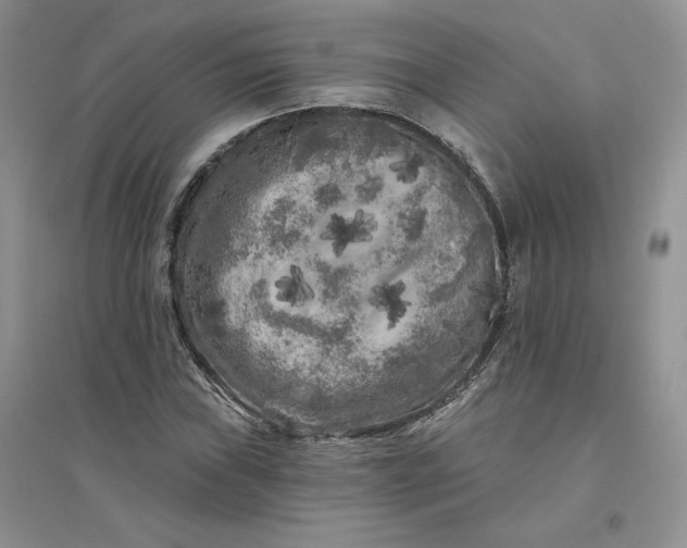 X0000096411019200802071650