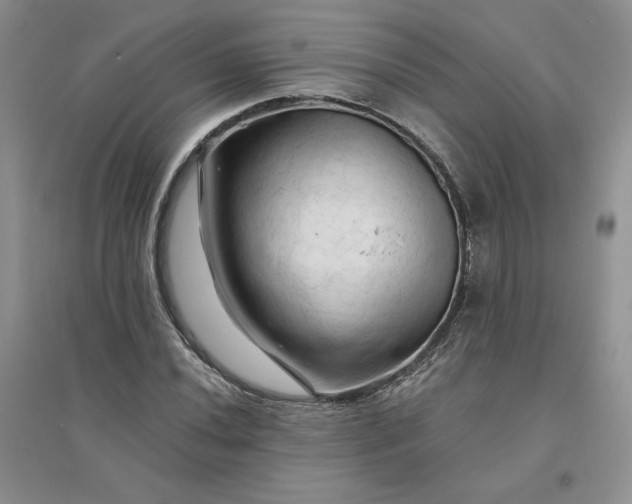 X0000096411020200802071650