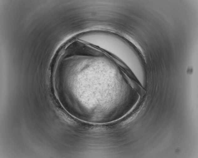 X0000096411021200802071650