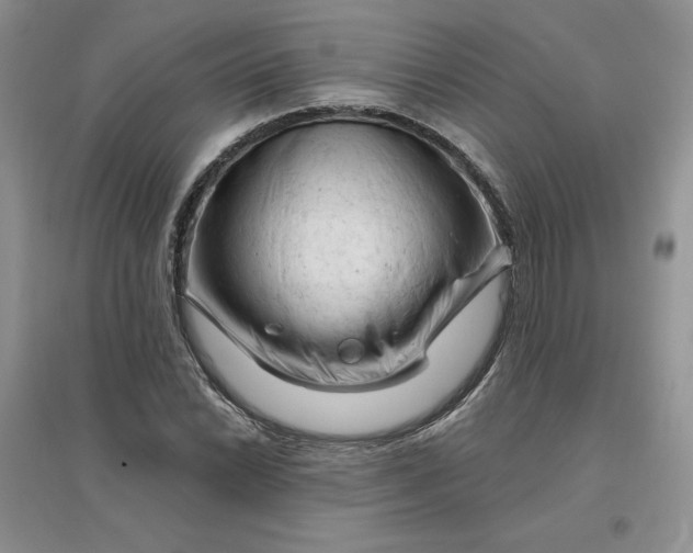 X0000096411022200802071650