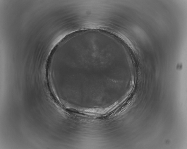 X0000096411023200802071650