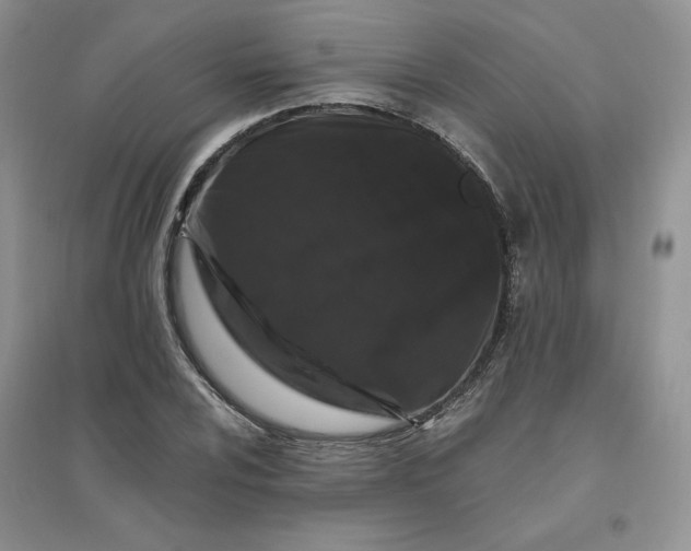 X0000096411024200802071650