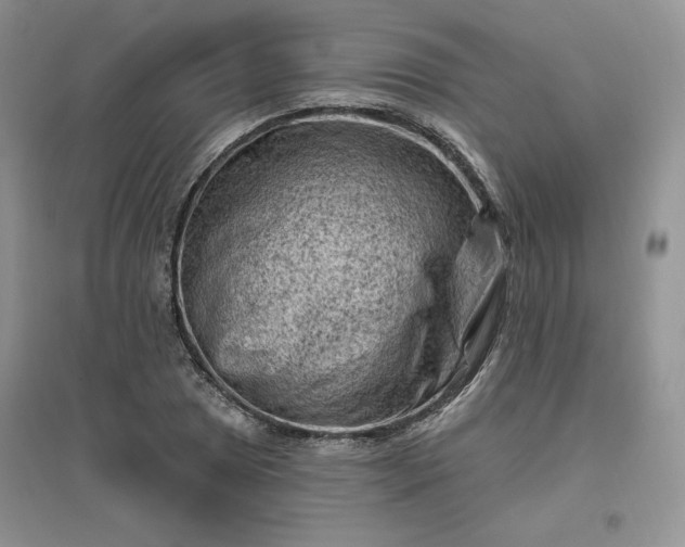 X0000096411025200802071650