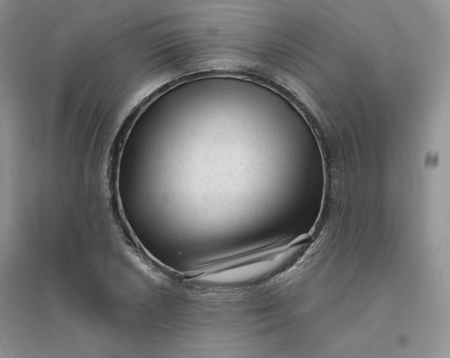 X0000096411026200802071650