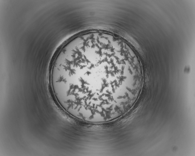 X0000096411028200802071650