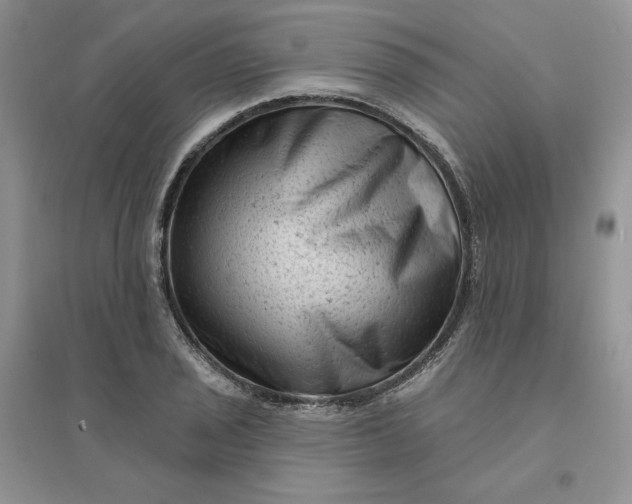 X0000096411029200802071650