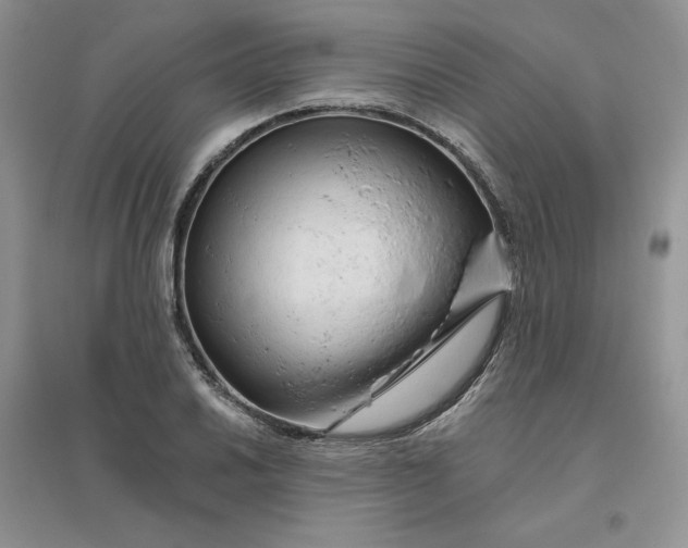 X0000096411030200802071650