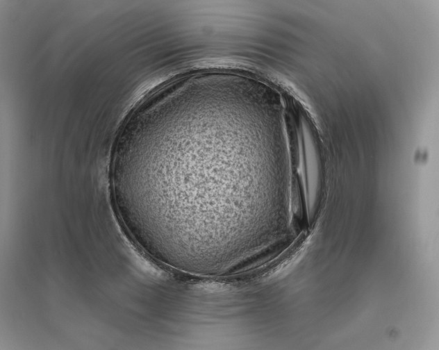 X0000096411033200802071650