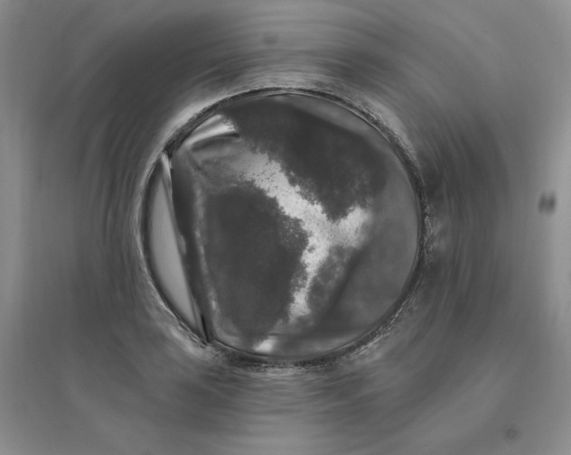 X0000096411035200802071650