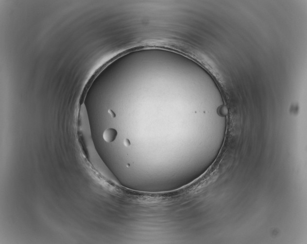 X0000096411036200802071650