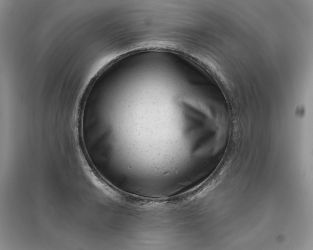 X0000096411038200802071650