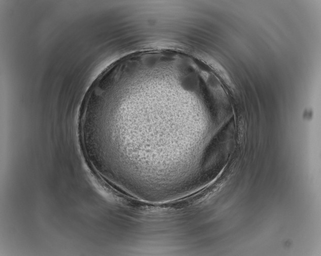 X0000096411039200802071650
