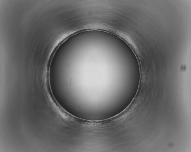 X0000096411040200802071650