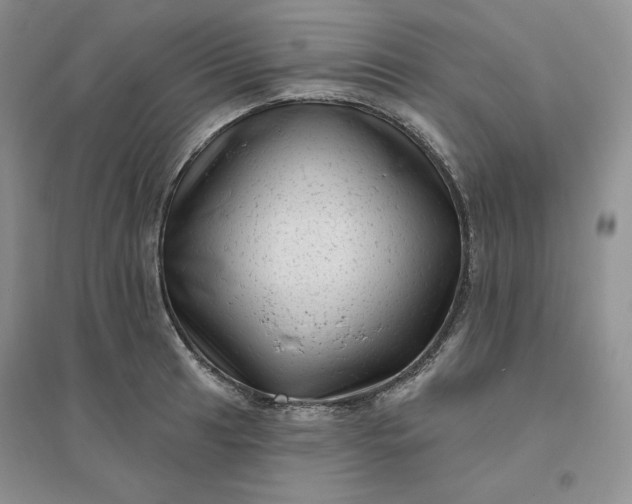 X0000096411041200802071650