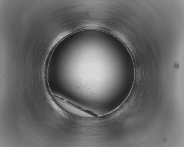 X0000096411042200802071650