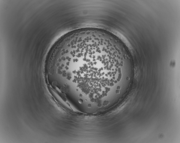 X0000096411043200802071650