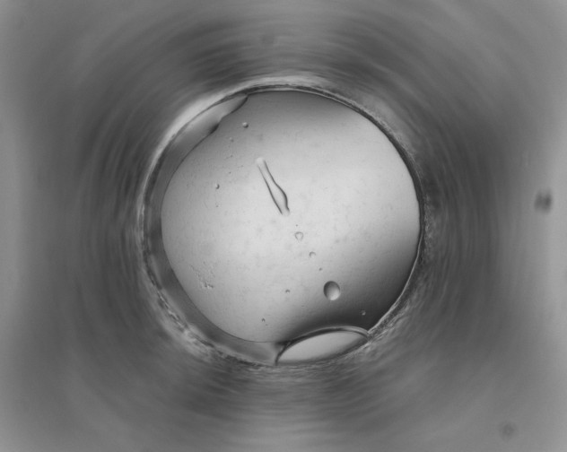 X0000096411044200802071650