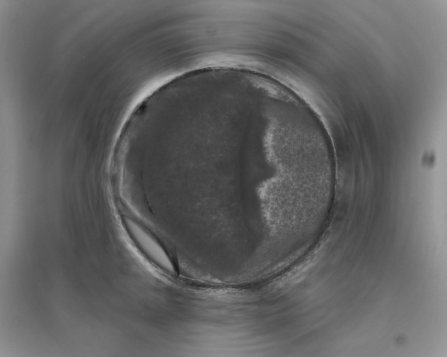 X0000096411045200802071650