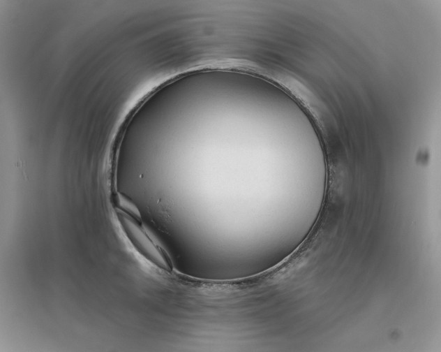 X0000096411046200802071650