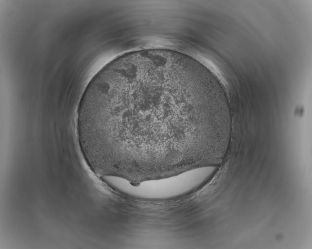 X0000096411047200802071650