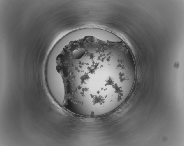 X0000096411048200802071650