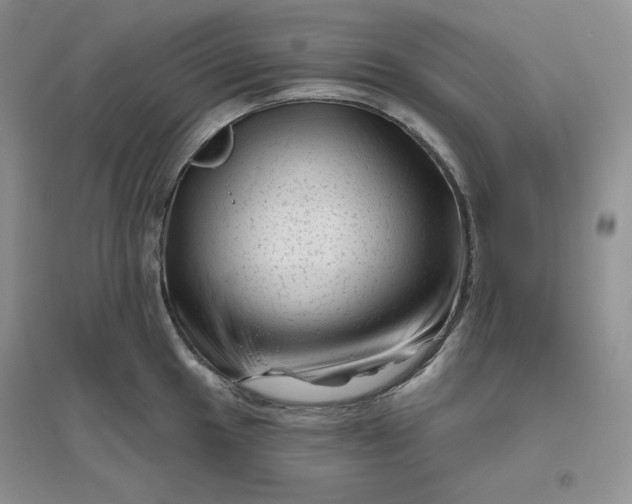 X0000096411049200802071650