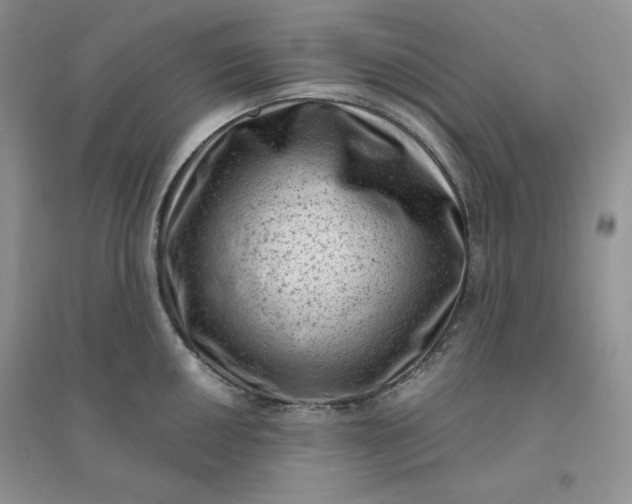 X0000096411050200802071650