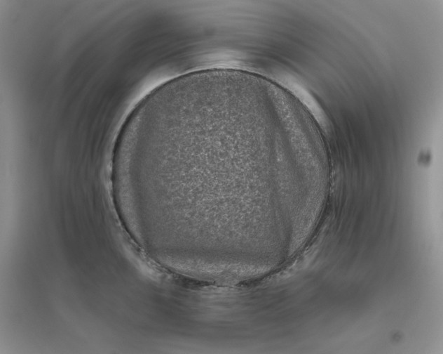 X0000096411051200802071650