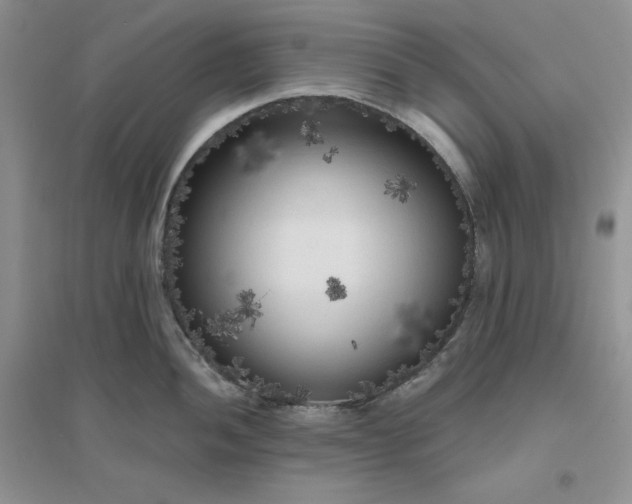 X0000096411052200802071650