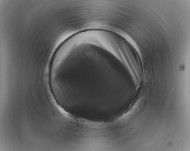 X0000096411053200802071650