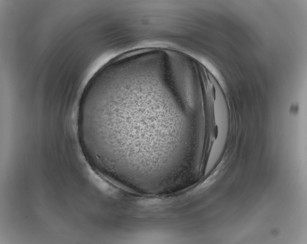 X0000096411054200802071650