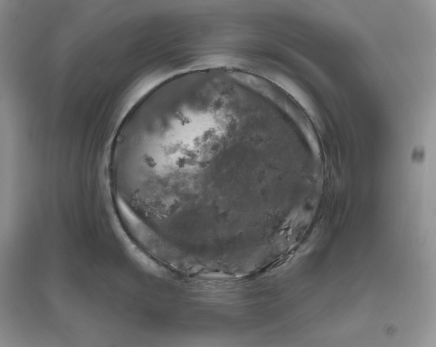 X0000096411055200802071650
