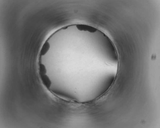 X0000096411056200802071650
