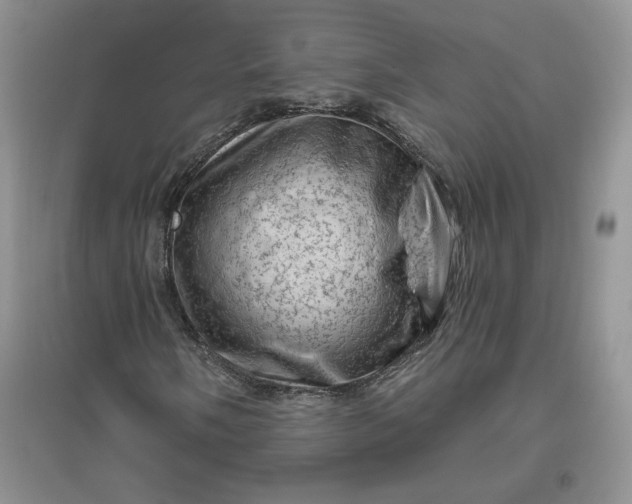 X0000096411058200802071650