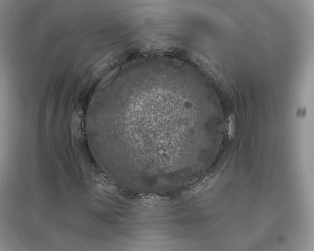 X0000096411059200802071650
