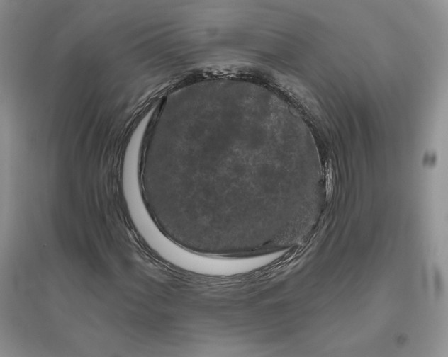 X0000096411060200802071650