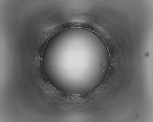 X0000096411061200802071650