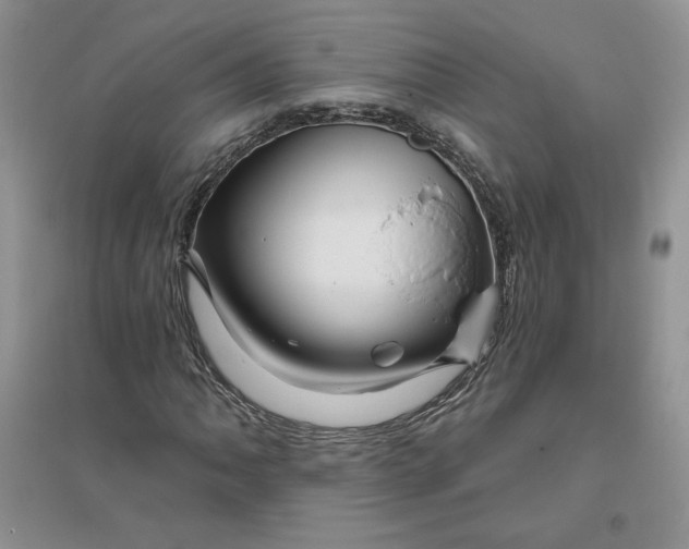 X0000096411062200802071650