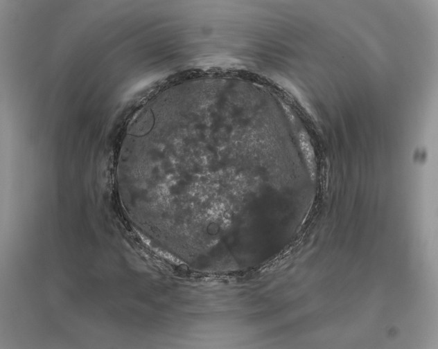 X0000096411063200802071650