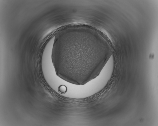 X0000096411064200802071650