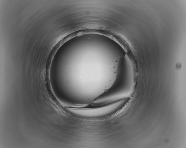 X0000096411065200802071650