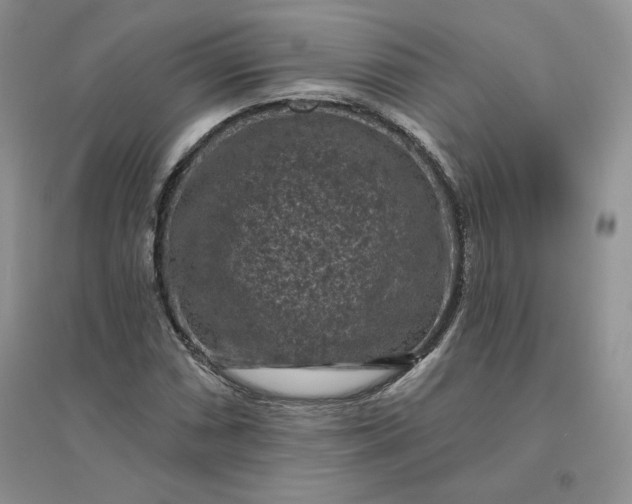 X0000096411066200802071650