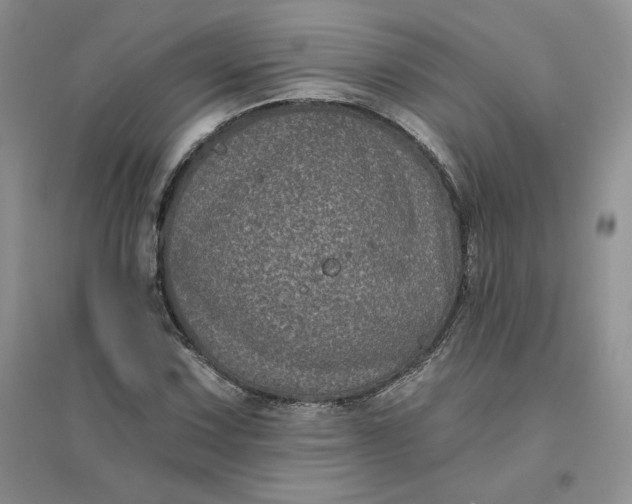 X0000096411067200802071650