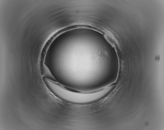 X0000096411068200802071650