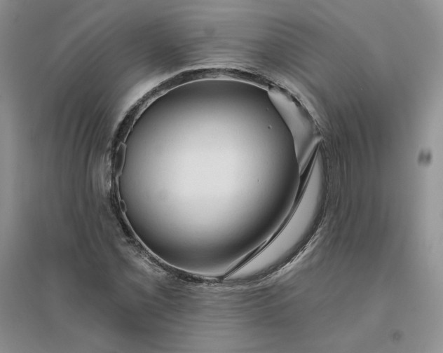 X0000096411069200802071650